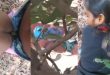 Desi College Student Outdoor Fucking Mms