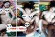 Bangladeshi Newly Married Wife Fuck MMS Watch Online