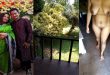 Married Wife Giving Her Husband Foreigner Friends vip resort